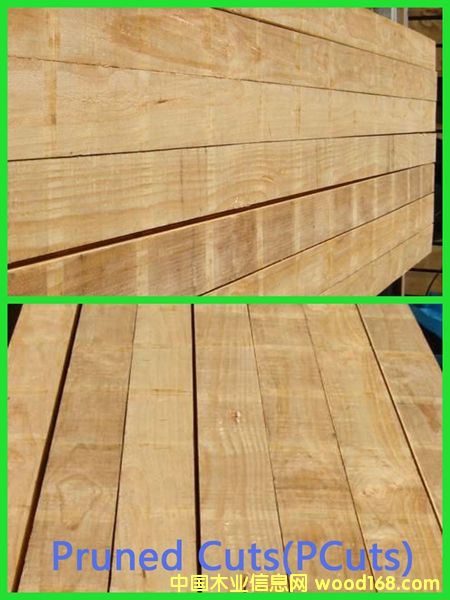 PAN PACSPCuts(j)Ԕ(x)B