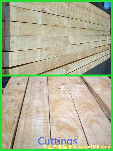 PAN PACScutsȼ(j)Ԕ(x)B