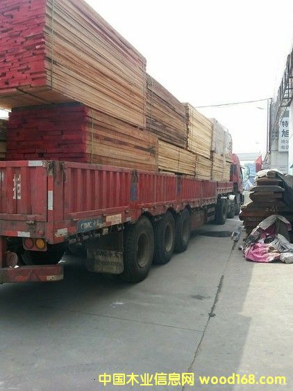 水曲柳的詳細(xì)介紹