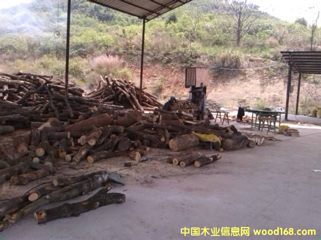 香樟木方的詳細(xì)介紹