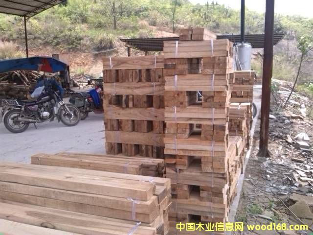 香樟木方的詳細(xì)介紹