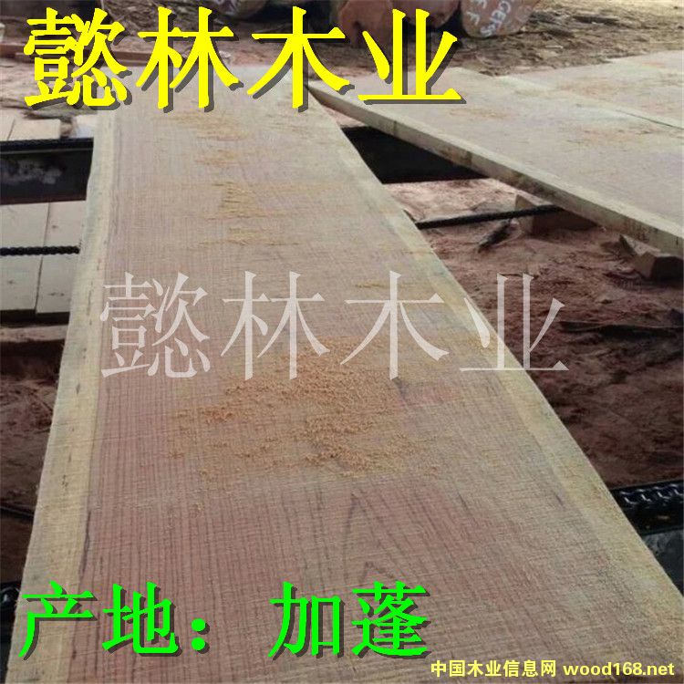 tõľ/tľ/Ьľ/ľĵԔ(x)B