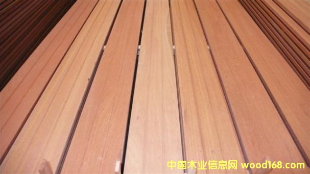 山樟木2的詳細(xì)介紹