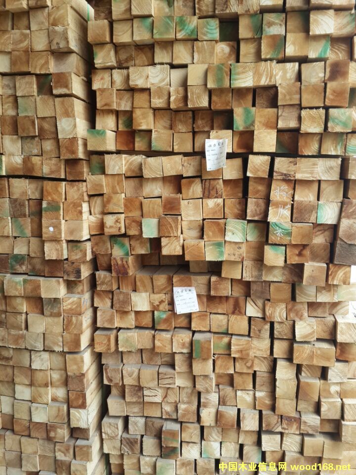 dľI(y)(yng)(yu)|(zh)M(jn)zľlԔ(x)B