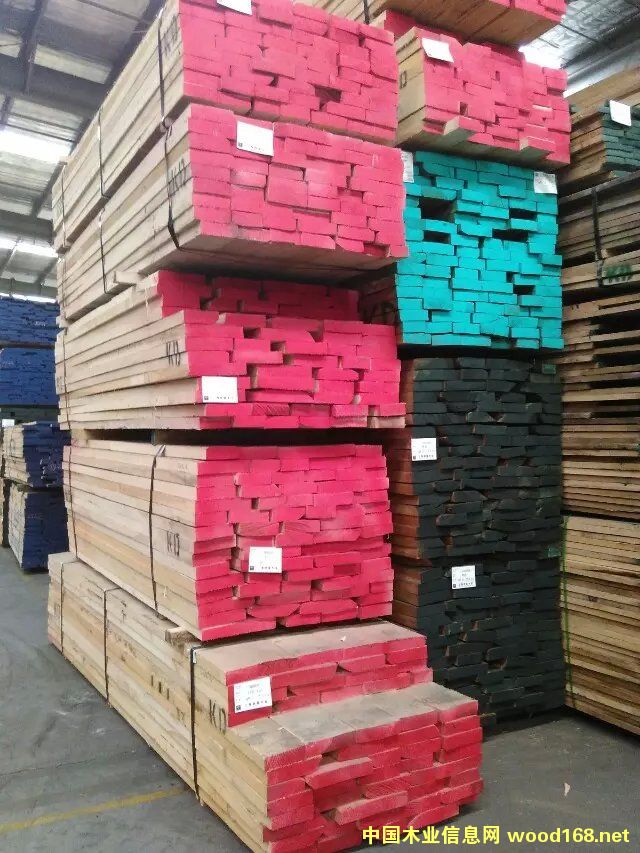 北美白像的詳細(xì)介紹