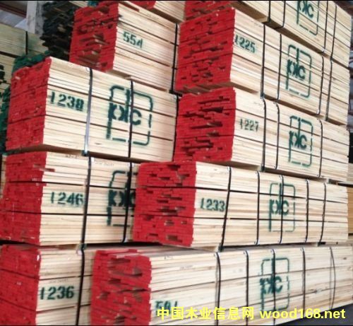 北美紅像的詳細(xì)介紹