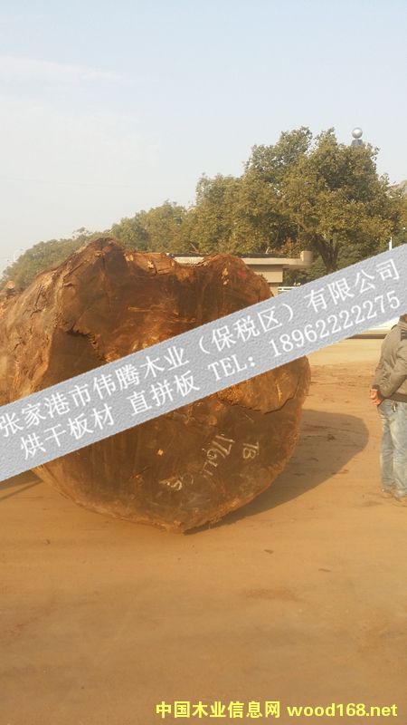 [] ľֱƴ忨˹TBֱƴ