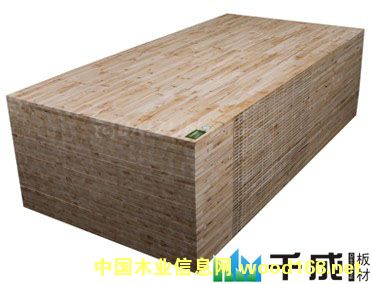 門板的詳細(xì)介紹