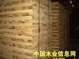 橡膠木的詳細(xì)介紹