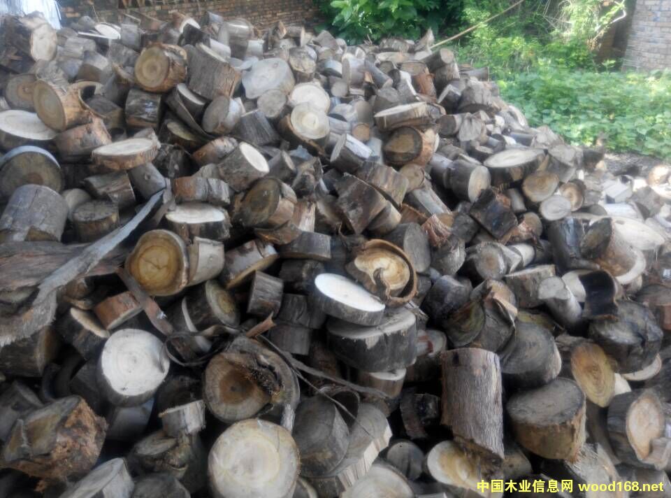 ߅/ľ߅/ľ/ľK/|(zh)ȼ