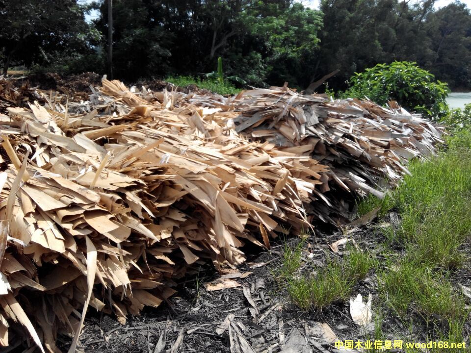 {/ľ/ľƬ/ľľƬ/|(zh)ȼ