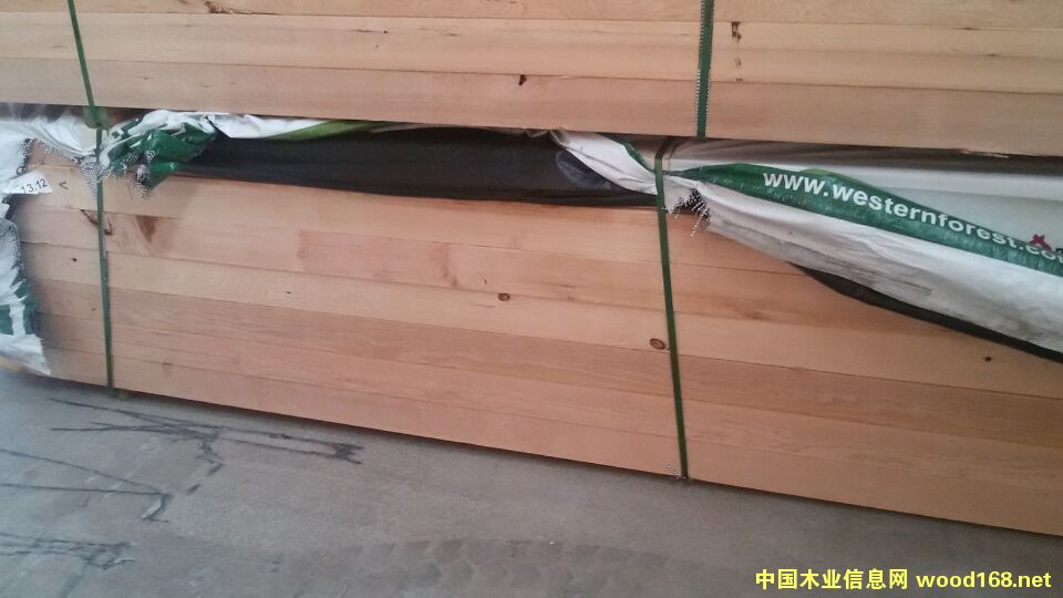 鐵杉的詳細介紹