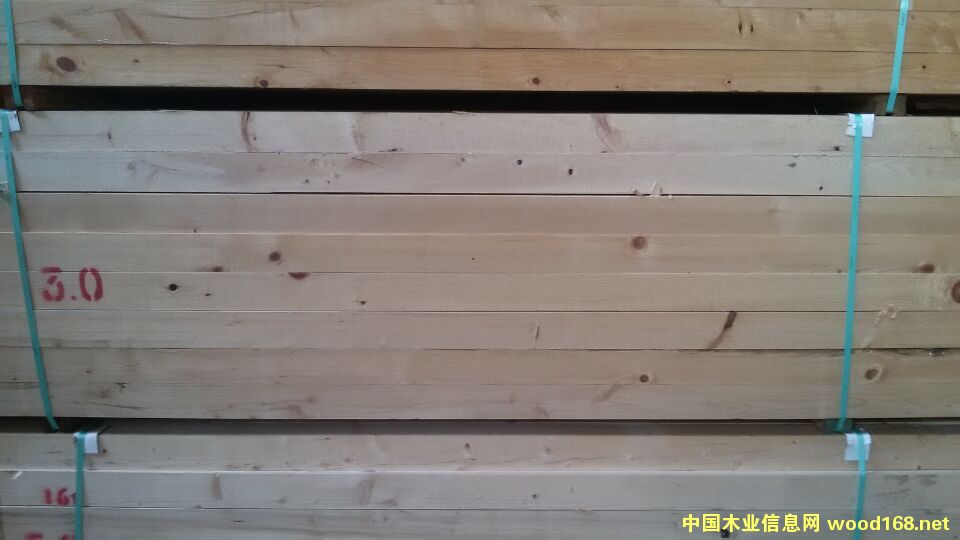 鐵杉的詳細介紹