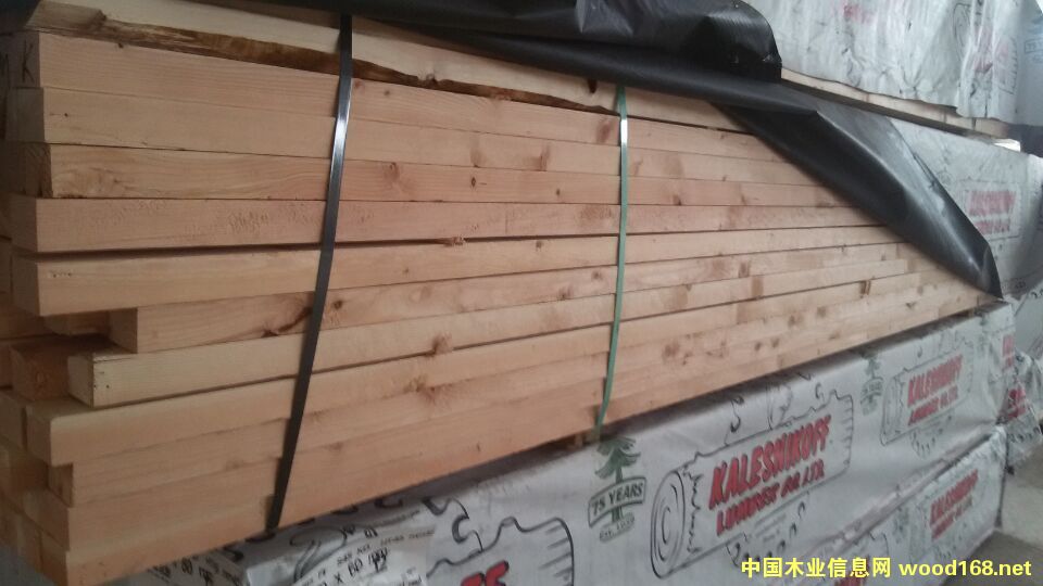 花旗松的詳細介紹