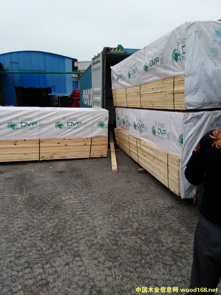 [] ӹҾߴ󱳰塢ϰ