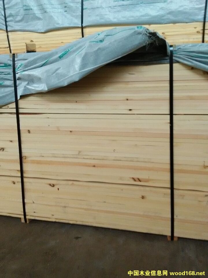 [] ӹҾߴ塢󱳰ϰ