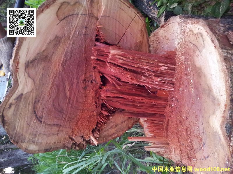 t֦20(ni)ѝqٱ10߀ϝq30