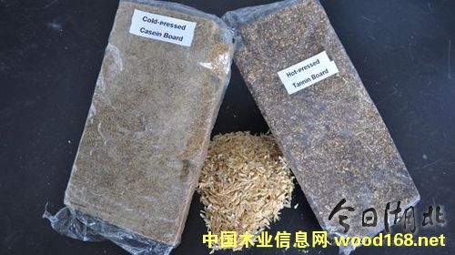 ٻ壺(jng)h(hun)־