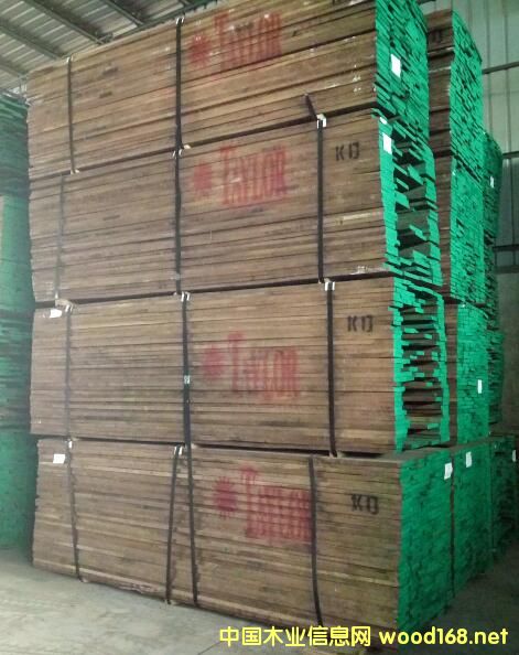 黑胡桃的詳細(xì)介紹