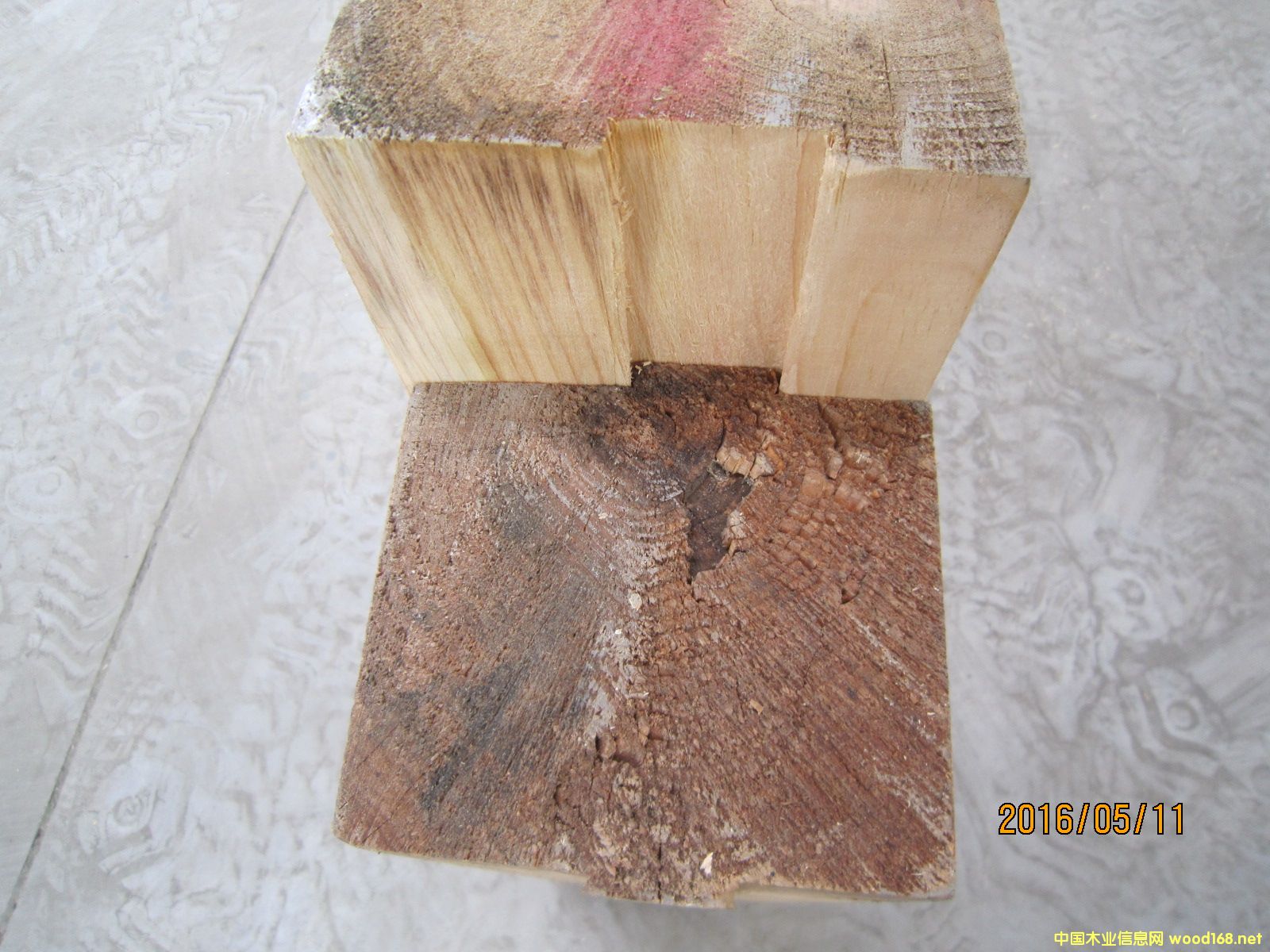 [] (yng)ԭβ۹ľpC(j)