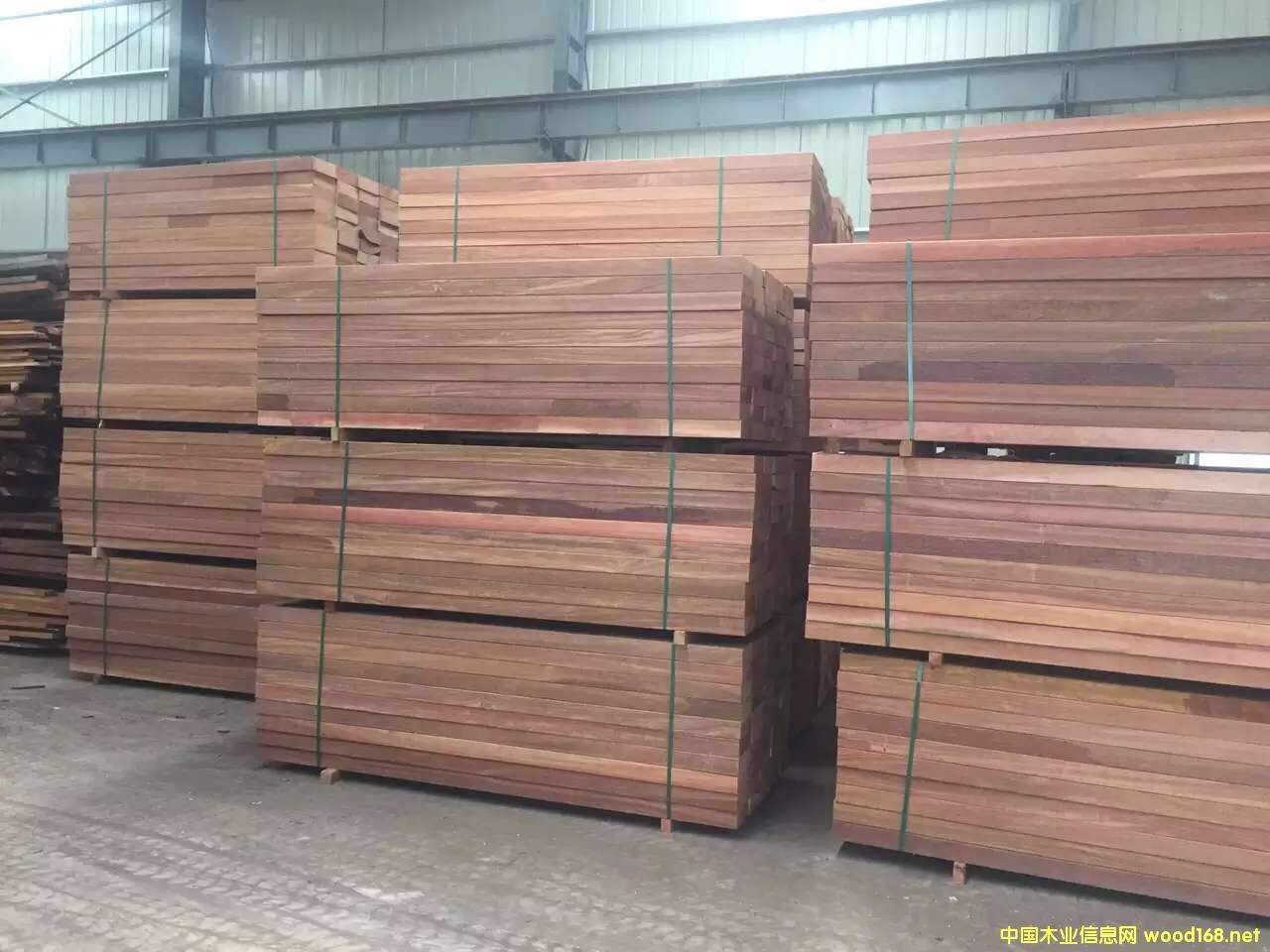 紅鐵木的詳細(xì)介紹