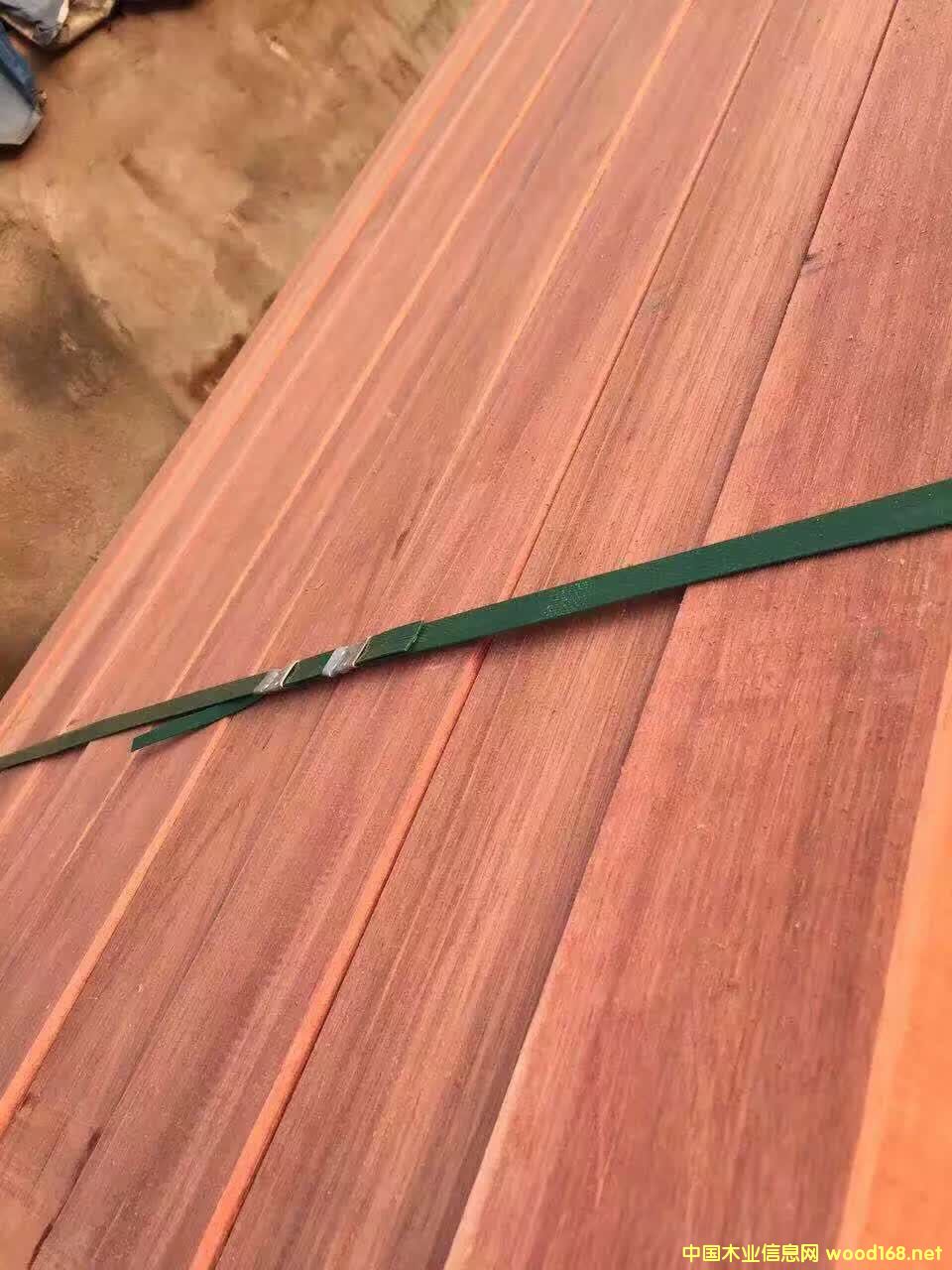 柳雜木的詳細(xì)介紹