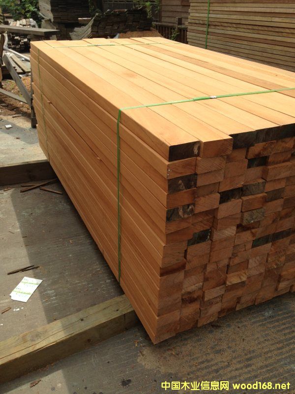 Ϻ̈́ľSҶƼӹ̈́ڑذ̈́ľ