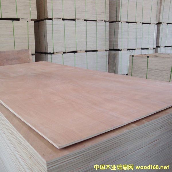 KwSֱNҸzϰh(hun)Ӱ