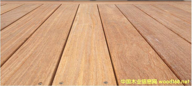 龍鳳檀的詳細(xì)介紹