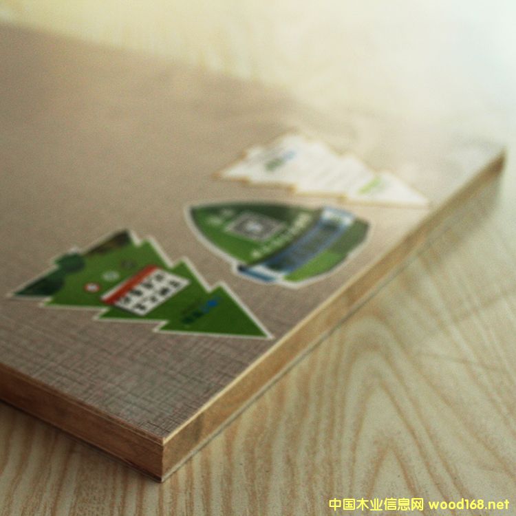 小布格的詳細介紹