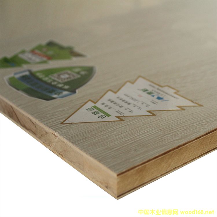 灰雞翅的詳細介紹