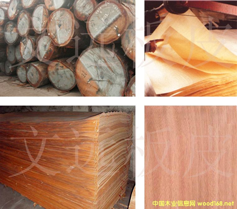 W һоD(zhun)ƤԔ(x)B