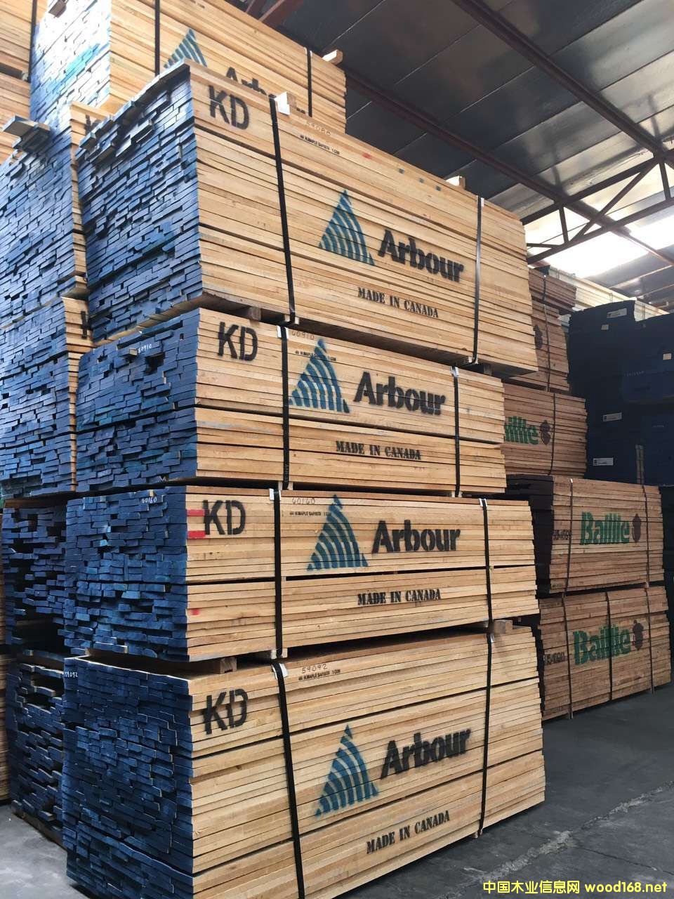 ľľľtľľԔ(x)B