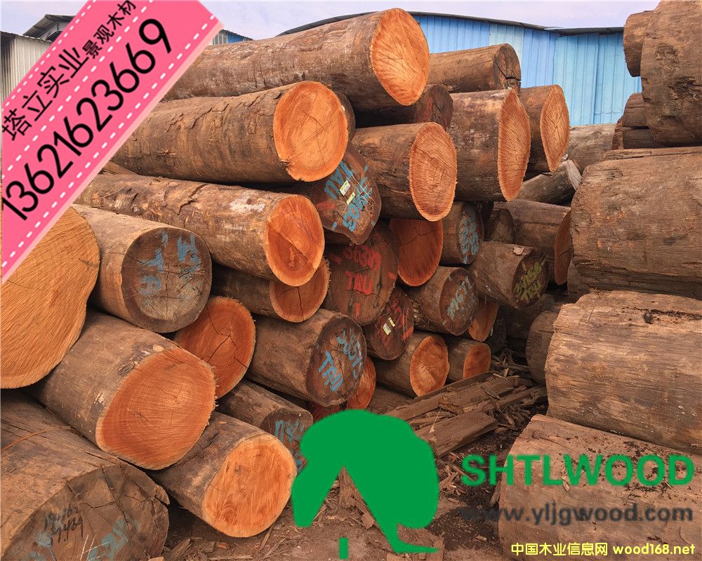 ̈́ľtľt͵ľľyľڂľ