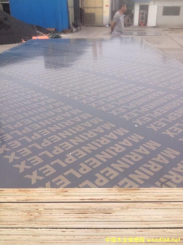 [] tģ ˮzϰ18 2440X1220 ɫľģ