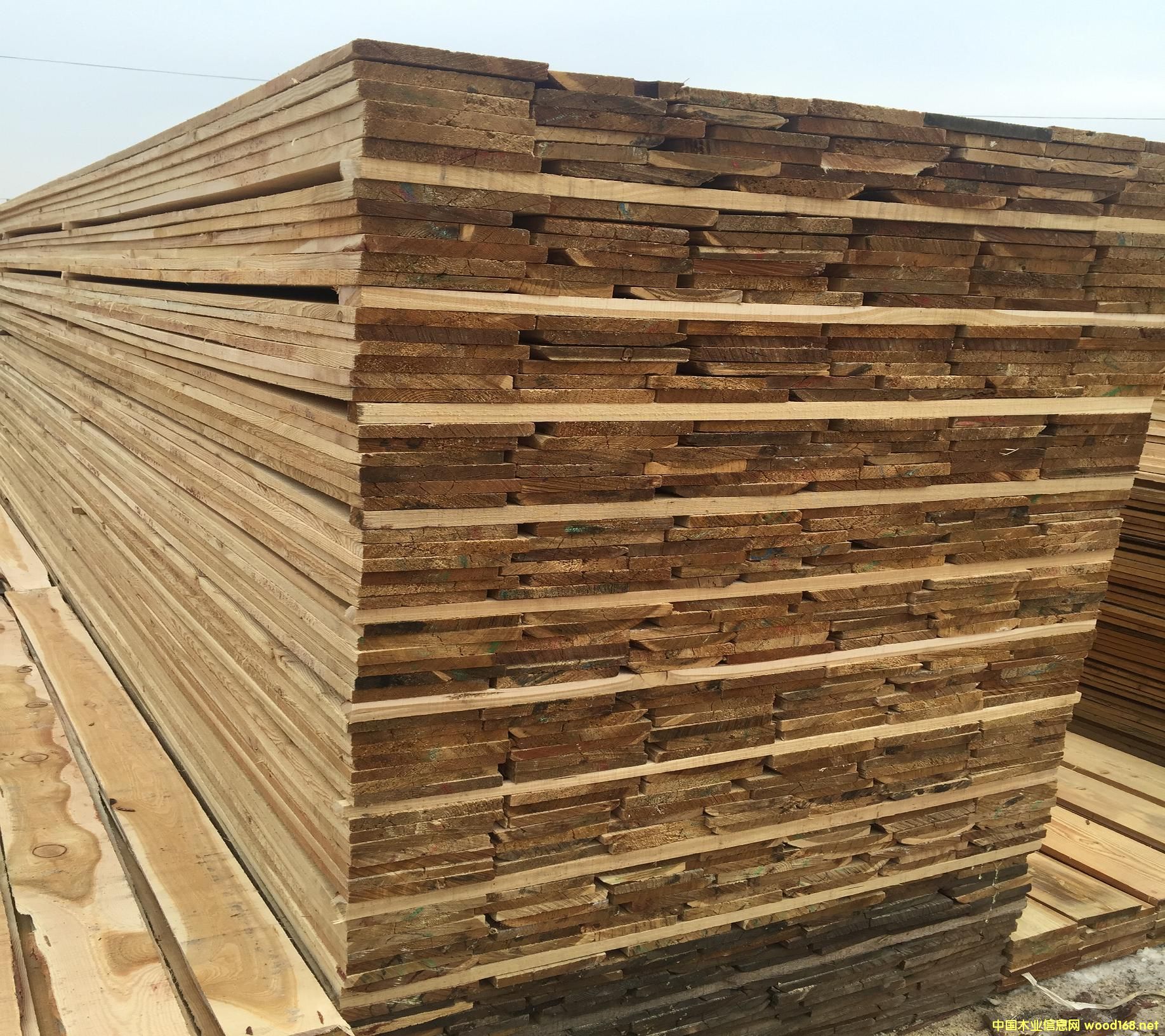 _˹M(jn)~20TͰ壨ԭľУԔ(x)B