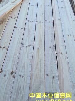 خaСt䏲20TR߅壨ԭľУ