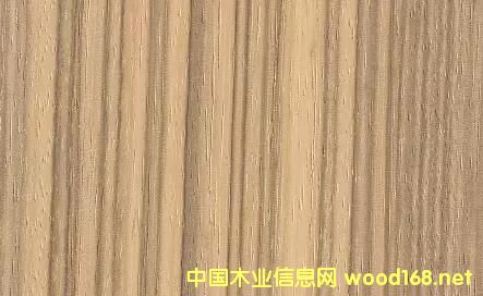 木材樹種詳解:小斑馬木