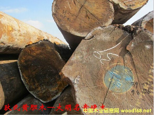 ľĘ(sh)NԔ--Sđľ  ׷Q: ͵ľӼ{̴