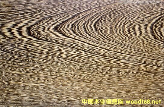 ˹D¶ľuľă(yu)c(din)ȱc(din)