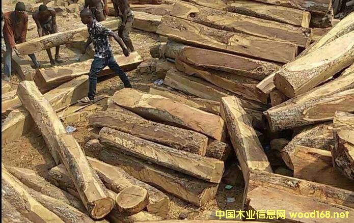 tľԭĔ(sh)Jpr(ji)񯂝q ҾI(y)Α(yng)(du)