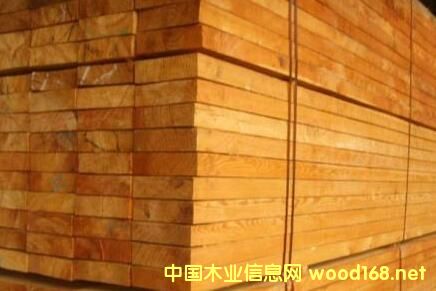 ȫľЈһ[ ݗɃrһqٝq