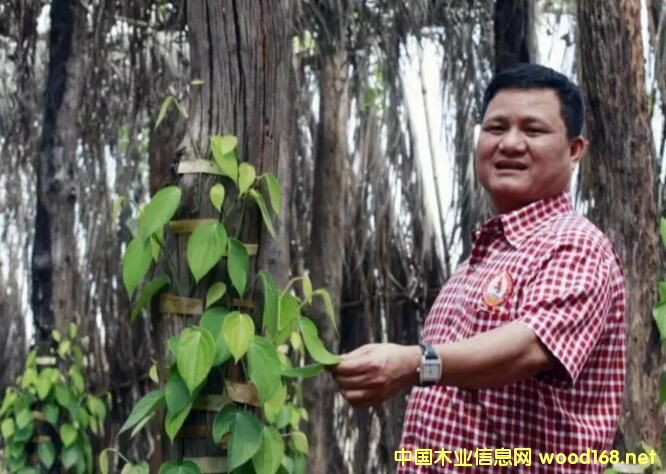 ľⲻկľĴD(zhun)