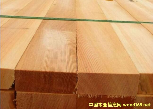 Bؿڰһľĵ؛r(ji)ͨ(bo)