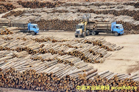 ̫}ۡҺMȿڰ_˹ԭľ