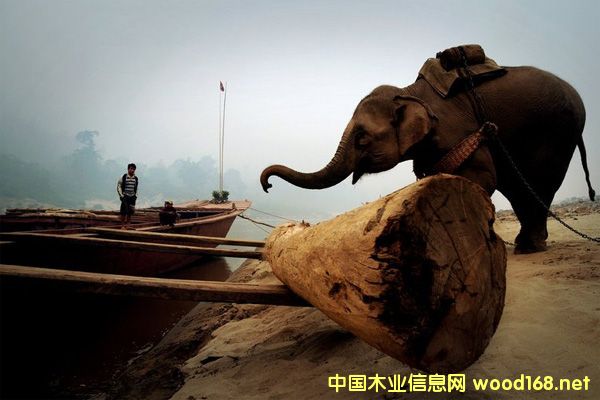 |ρtľMyȶһyƝqҾ