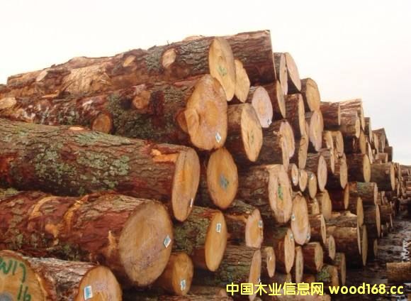 ӡmԭľM(jn)Ј 2017^m(x)L