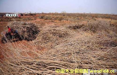 ˹ɳؽMľɳľͲٻγҎ(gu)a(chn)I(y)