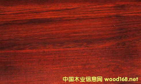 FӲľòļ(x)Fľ̴ă(yu)ȱc(din)