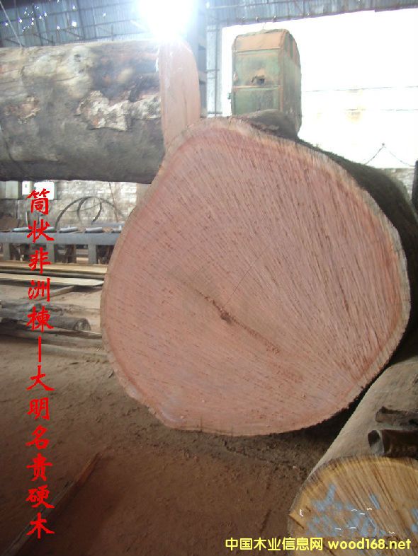 ľĘNԔ--Ͳ  ɳtӰľ